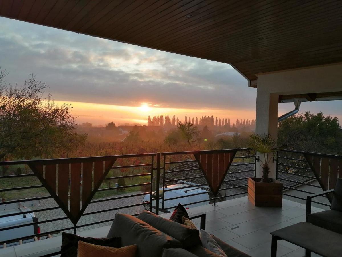 Ludvig Panzio Bed and Breakfast Villány Εξωτερικό φωτογραφία
