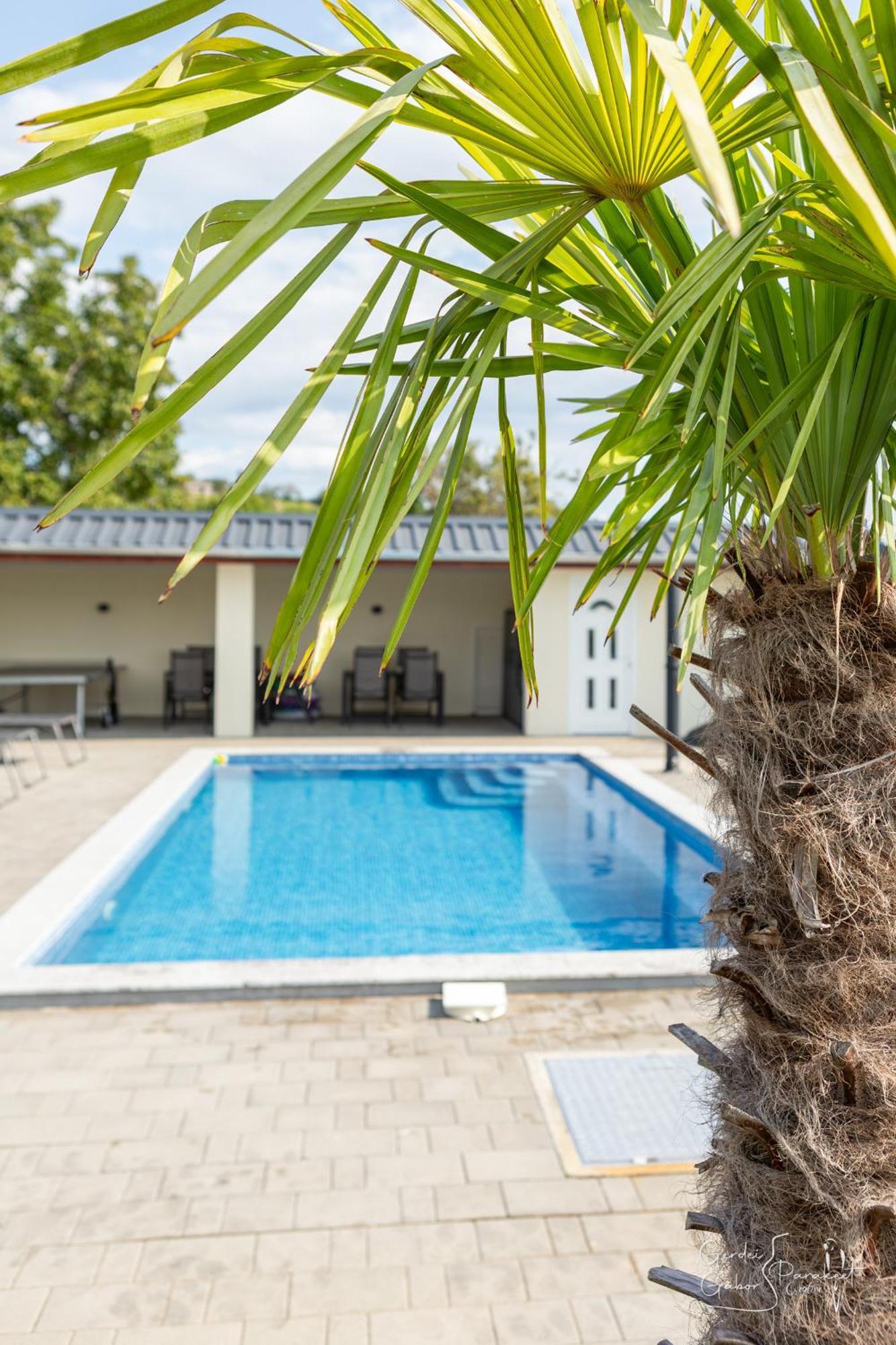Ludvig Panzio Bed and Breakfast Villány Εξωτερικό φωτογραφία